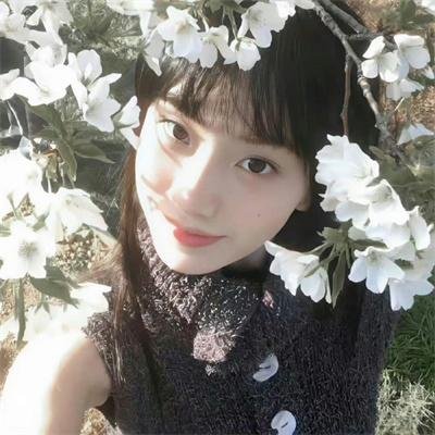 百合熊风暴